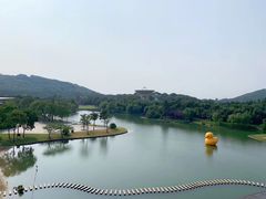 -上海佘山世茂艾美酒店