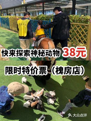 快来探索神秘动物38元限时特价（槐房店）