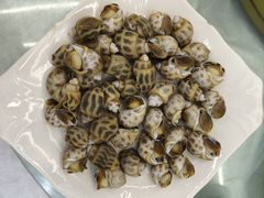 白灼花螺-众味海鲜大排档·活海鲜·潮汕味(南澳店)