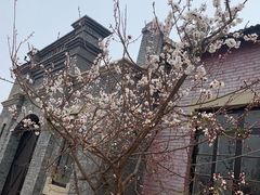 -清风小镇闯关东影视基地