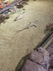 -Zoolung Zoolung动物主题公园(海信广场店)