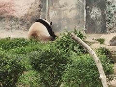 -石排湾郊野公园