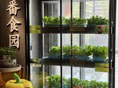 -番食园鲜食火锅(高新店)