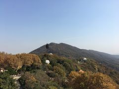 -紫金山天文台