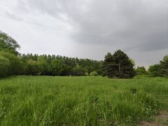 -黑龙江省森林植物园