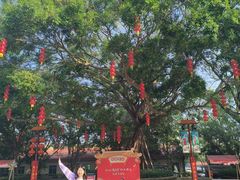 -南沙天后宫景区