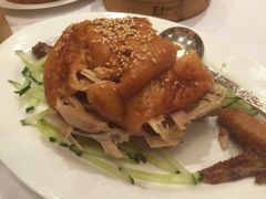 -莲苑中餐厅·Lotus Court(厦门马哥孛罗东方大酒店)