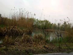 -梁鸿国家湿地公园