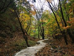 -玉渡山自然风景区