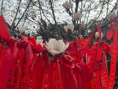 -长春观