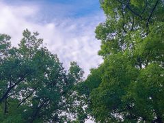 -共青国家森林公园-售票处