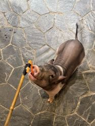 -Zoolung Zoolung动物主题公园(海信广场店)