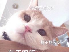 -馋嘴诱惑