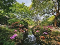 -上海醉白池公园