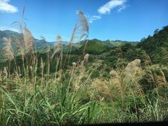 -浙东大峡谷风景区