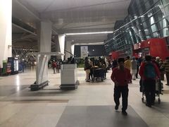 -英迪拉·甘地国际机场