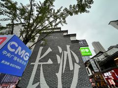 -黑色经典臭豆腐·湖南特产(太平街口店)