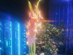 -逸馥荟(人广来福士店)