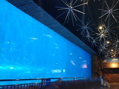 -西安华夏文旅水世界