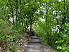 -帽儿山国家森林公园