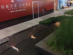 -瑞虹新天地月亮湾