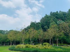-火炉山森林公园