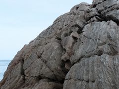 -傅家庄公园