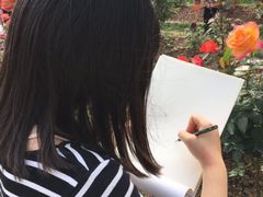 -人民公园(罗湖区)