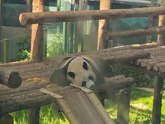 -大连森林动物园