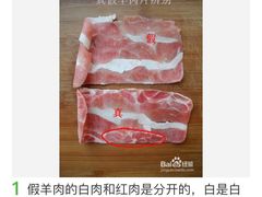 -珍巴奴毛肚牛肉小火锅(四惠店)