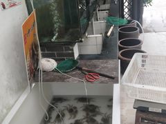 -湾里人家(旺山景区店)