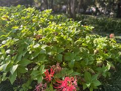 -普陀山风景名胜区-法雨禅寺