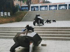 -广东惠东海龟国家级自然保护区