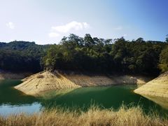 -广州市流溪河国家森林公园