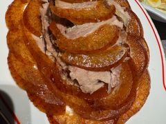 -秀儿四九城·新京菜(亚运村鸟巢店)