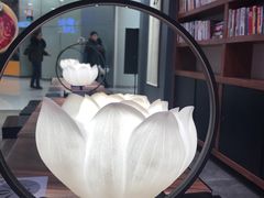 -和府捞面(东直门银座店)