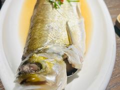 -人和馆·上海菜(肇嘉浜路店)