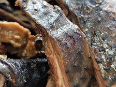 -老字号周记古蔺麻辣鸡·非物质文化遗产传承店