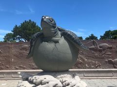-广东惠东海龟国家级自然保护区