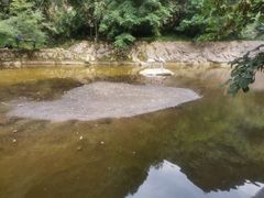 -沣峪森林公园龙潭戏水景区