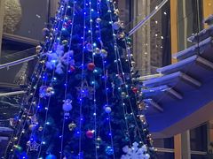 -视界美食自助餐厅·石家庄希尔顿酒店