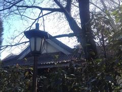 -南京十朝历史文化园-停车场