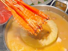 -禄婶鸡煲·打边炉