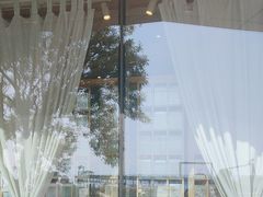 -猫的天空之城概念书店(北戴河蔚蓝海岸店)