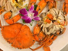 清蒸奄仔蟹-四海之家(蛇口店)