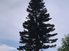 -大理洱海