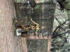 -北海金海湾红树林生态旅游区