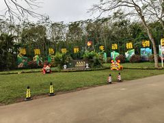 -海南热带野生动植物园