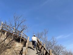 -大岭沟猕猴桃谷风景区