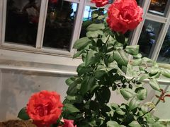 -黑土印象菜馆(三元桥店)